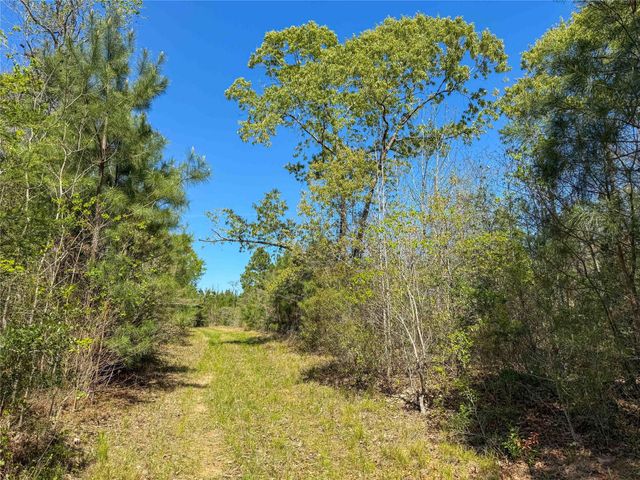 TBD Fm 946, Coldspring, TX 77331