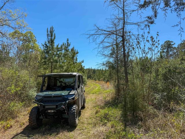 TBD Fm 946, Coldspring, TX 77331