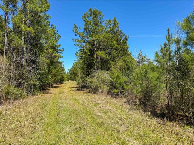 TBD Fm 946, Coldspring, TX 77331
