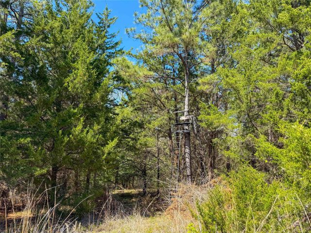 TBD Fm 946, Coldspring, TX 77331