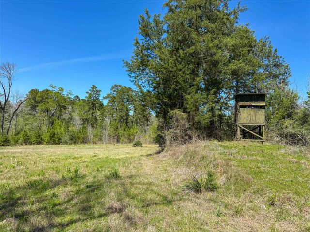 TBD Fm 946, Coldspring, TX 77331