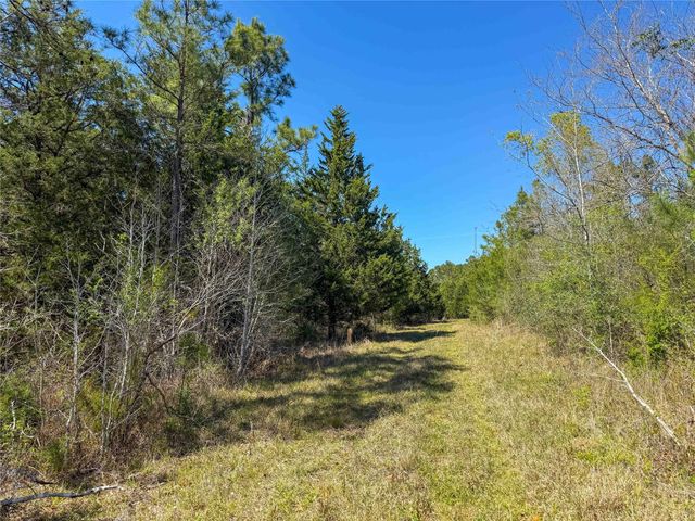 TBD Fm 946, Coldspring, TX 77331