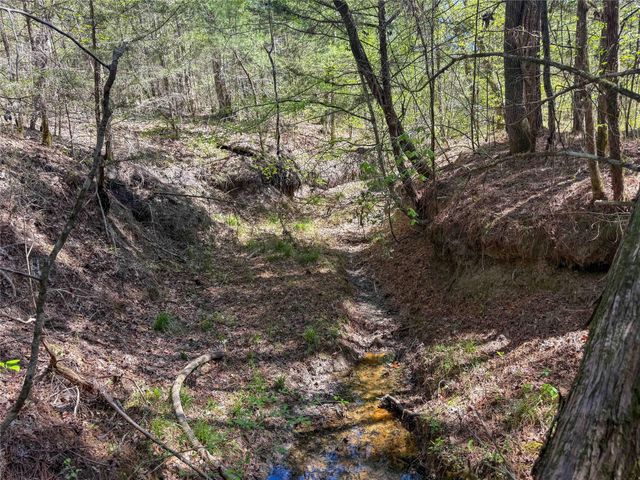 TBD Fm 946, Coldspring, TX 77331