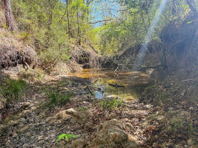 TBD Fm 946, Coldspring, TX 77331