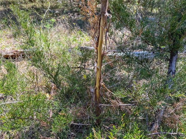 TBD Fm 946, Coldspring, TX 77331