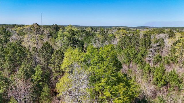 TBD Fm 946, Coldspring, TX 77331