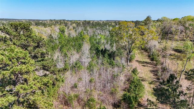 TBD Fm 946, Coldspring, TX 77331