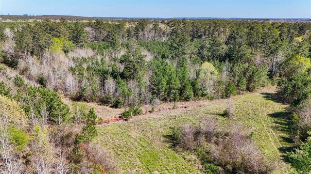 TBD Fm 946, Coldspring, TX 77331