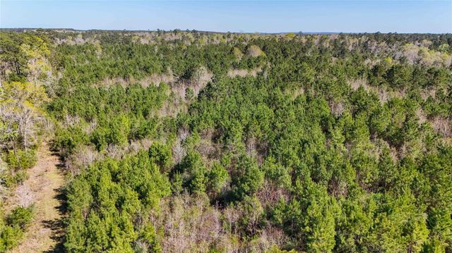 TBD Fm 946, Coldspring, TX 77331