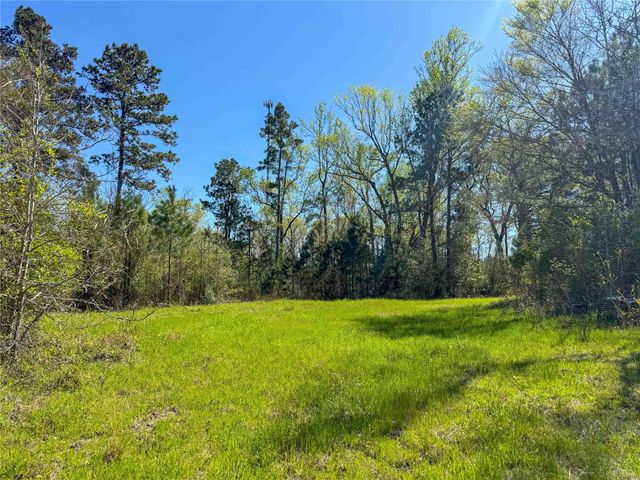 TBD Fm 946, Coldspring, TX 77331