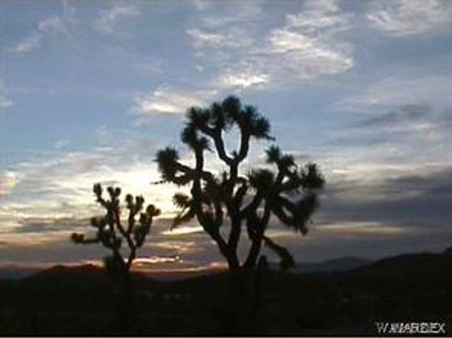 8446 & 8454 W Olema Drive 232 & 233, White Hills, AZ 86445