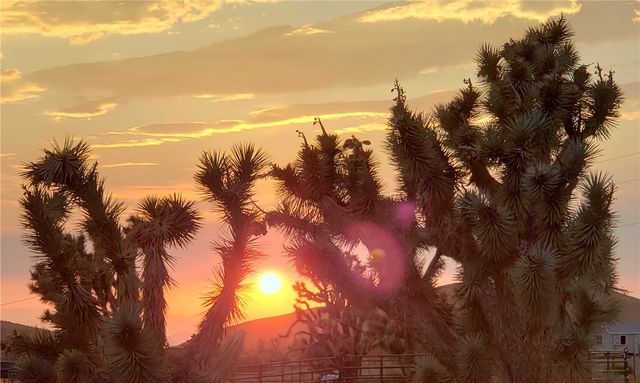 8446 & 8454 W Olema Drive 232 & 233, White Hills, AZ 86445