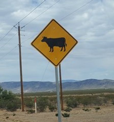 8446 & 8454 W Olema Drive 232 & 233, White Hills, AZ 86445