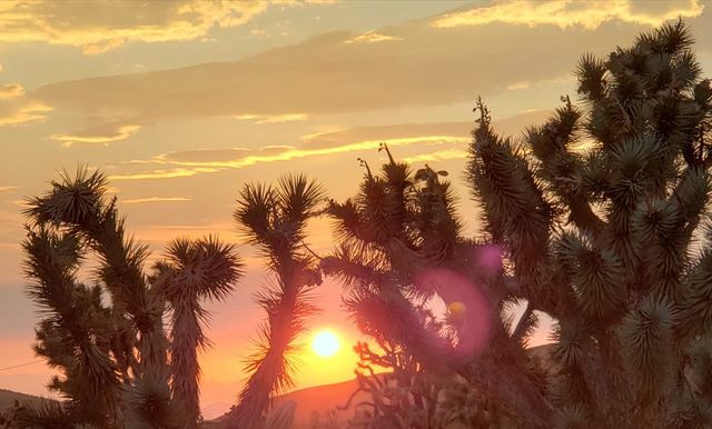 8446 & 8454 W Olema Drive 232 & 233, White Hills, AZ 86445