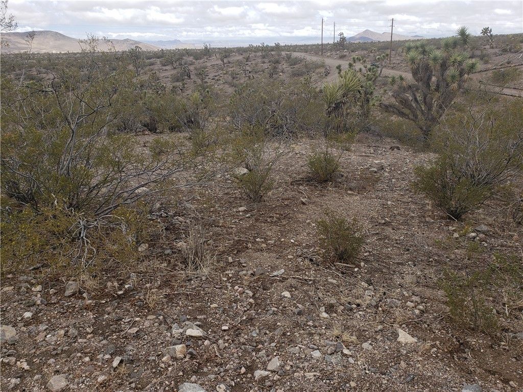 8446 & 8454 W Olema Drive 232 & 233, White Hills, AZ 86445