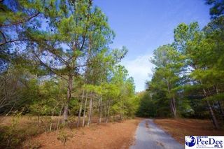 TBD Goose Pond Ln (Tract 1), Florence, SC 29506