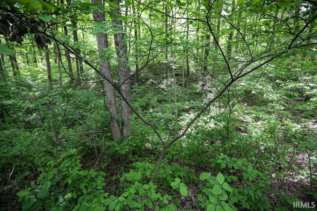 TBD Woodview Hills Lane, Solsberry, IN 47459