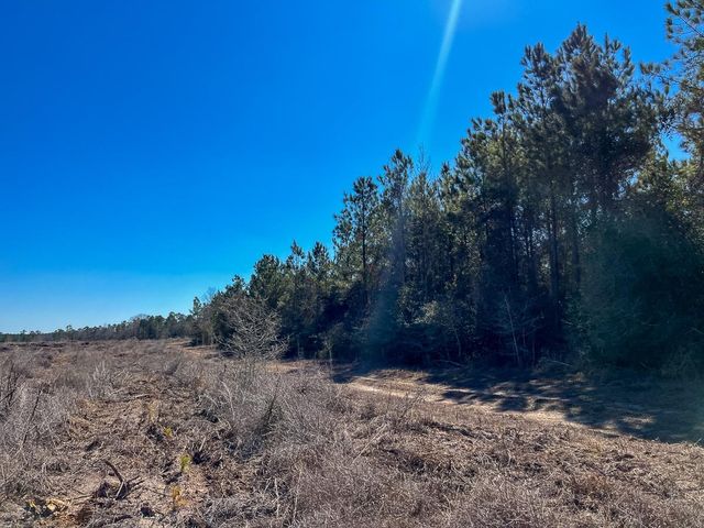 T-1 Lake View, Crockett, TX 75835