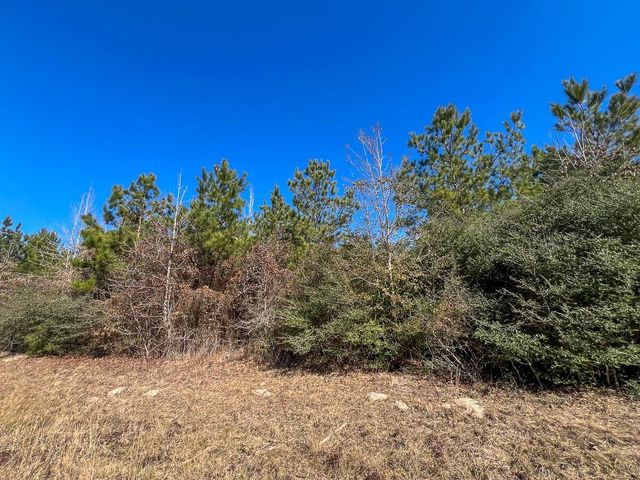 T-1 Lake View, Crockett, TX 75835