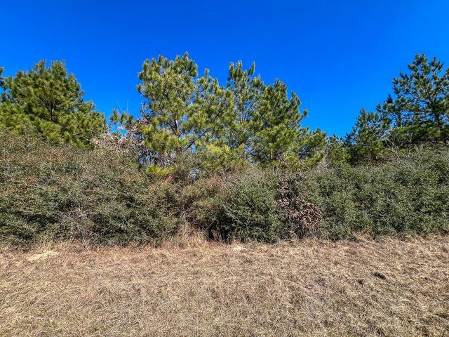 T-1 Lake View, Crockett, TX 75835