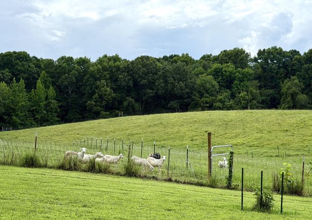 5870 MONK HOUSE RD, Somerville, TN 38068