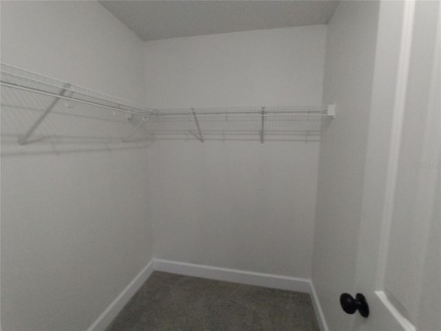 1920 TINDARO DRIVE, Apopka, FL 32703