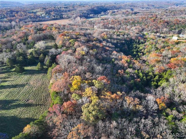 0 Scanlon Drive, De Soto, MO 63020