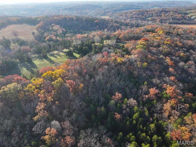 0 Scanlon Drive, De Soto, MO 63020