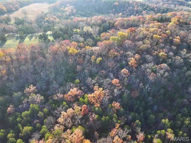 0 Scanlon Drive, De Soto, MO 63020