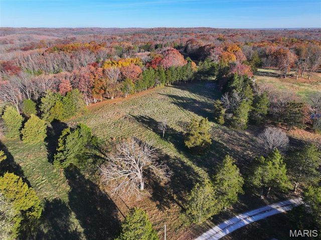 0 Scanlon Drive, De Soto, MO 63020