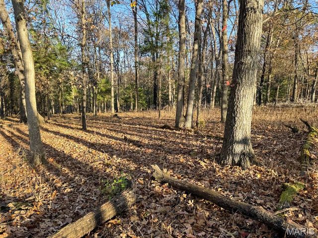 0 Scanlon Drive, De Soto, MO 63020