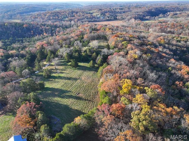 0 Scanlon Drive, De Soto, MO 63020