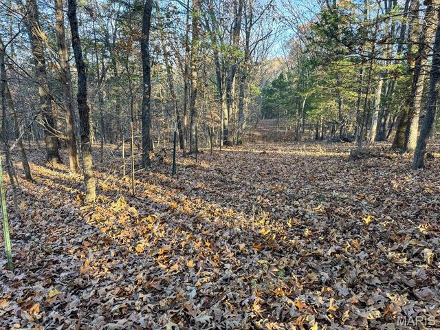 0 Scanlon Drive, De Soto, MO 63020