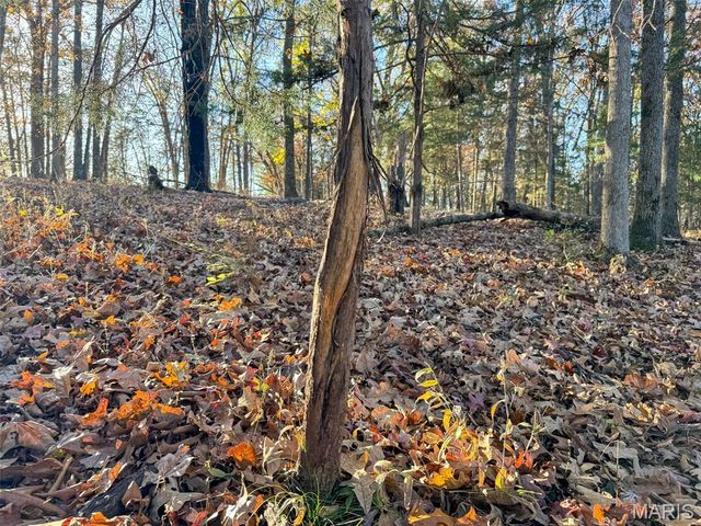 0 Scanlon Drive, De Soto, MO 63020