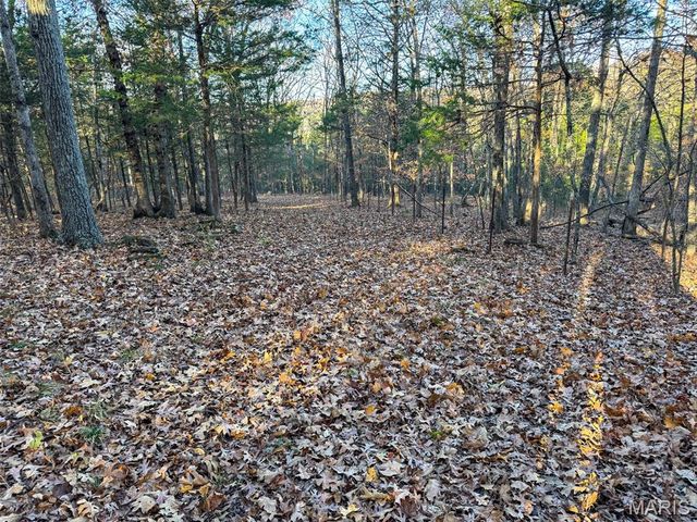 0 Scanlon Drive, De Soto, MO 63020