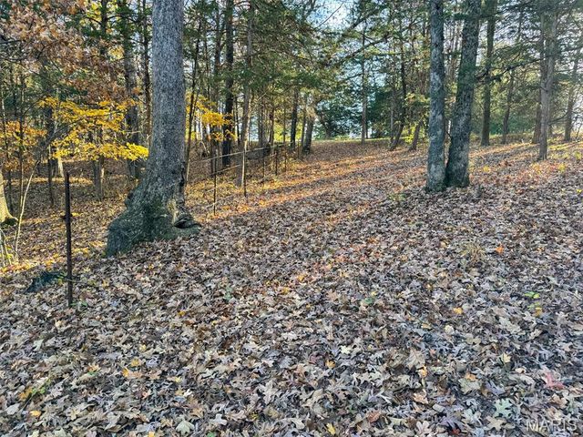 0 Scanlon Drive, De Soto, MO 63020