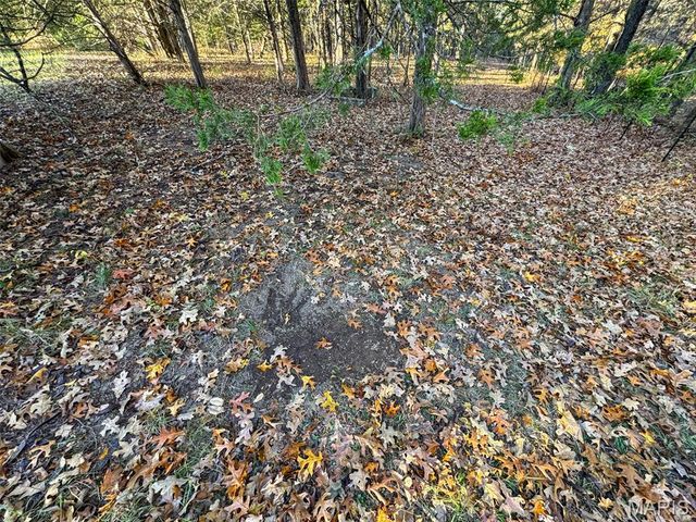 0 Scanlon Drive, De Soto, MO 63020