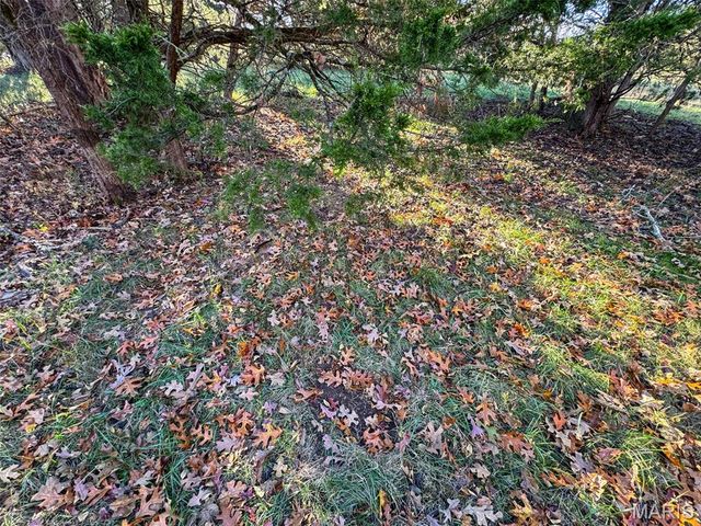 0 Scanlon Drive, De Soto, MO 63020