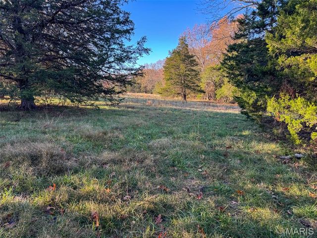 0 Scanlon Drive, De Soto, MO 63020