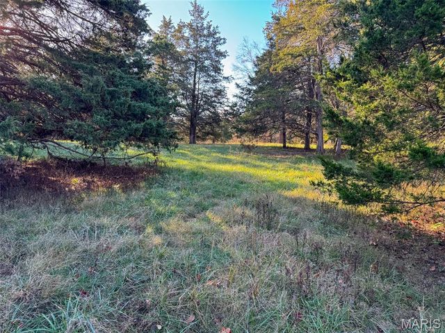 0 Scanlon Drive, De Soto, MO 63020