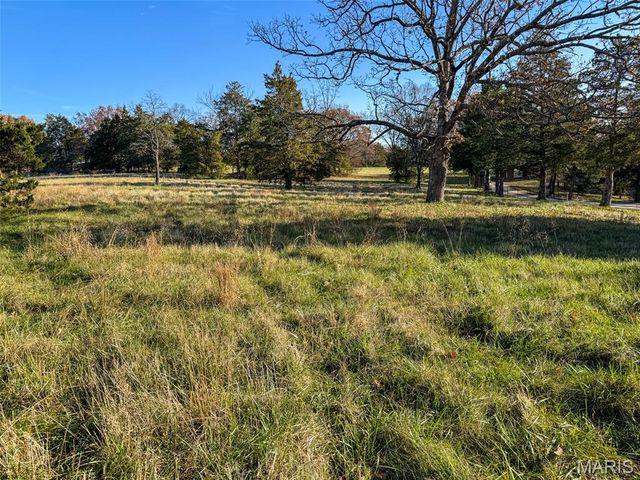 0 Scanlon Drive, De Soto, MO 63020