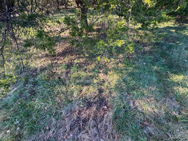 0 Scanlon Drive, De Soto, MO 63020