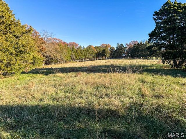 0 Scanlon Drive, De Soto, MO 63020