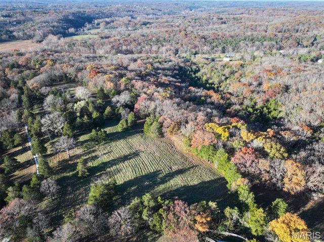 0 Scanlon Drive, De Soto, MO 63020