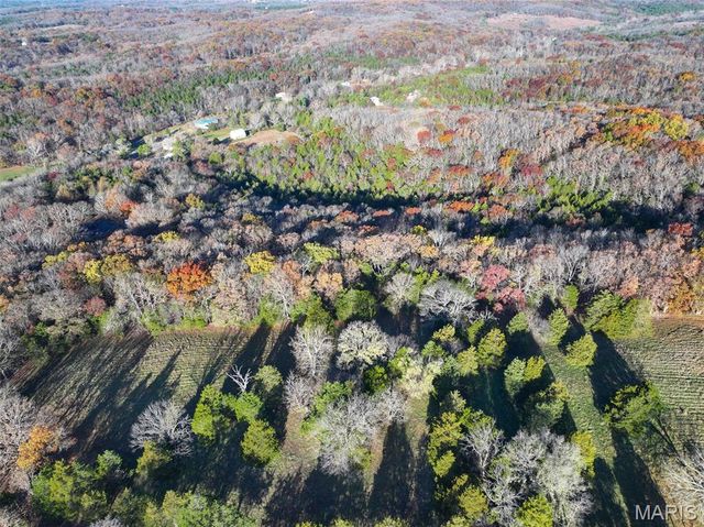 0 Scanlon Drive, De Soto, MO 63020