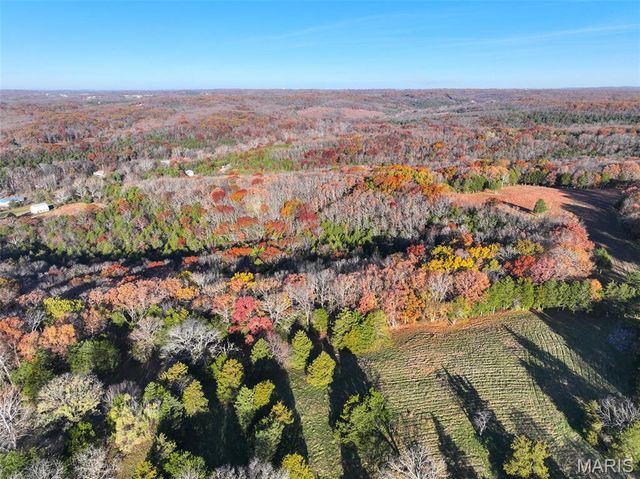 0 Scanlon Drive, De Soto, MO 63020