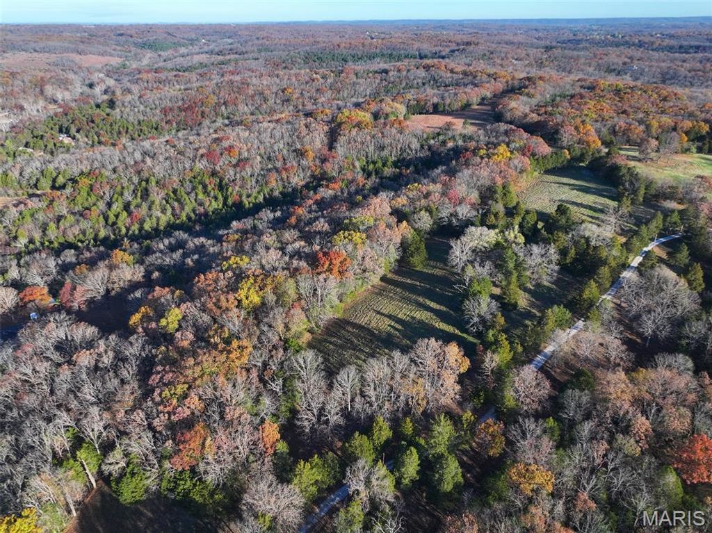 0 Scanlon Drive, De Soto, MO 63020