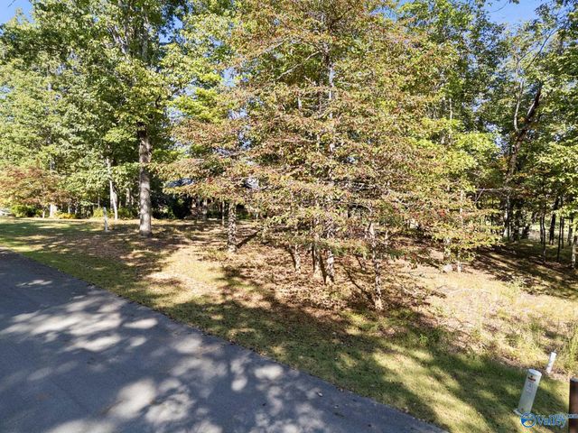 13205 South Village Square Road SE, Huntsville, AL 35803