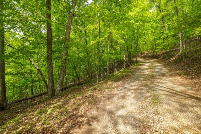 2.90Acre Galloway Road, Blue Ridge, GA 30513