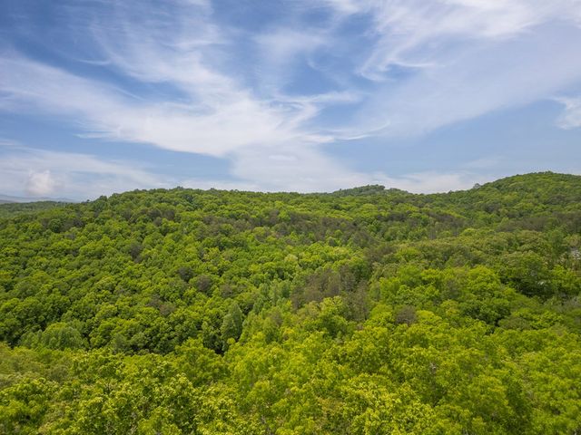 2.90Acre Galloway Road, Blue Ridge, GA 30513